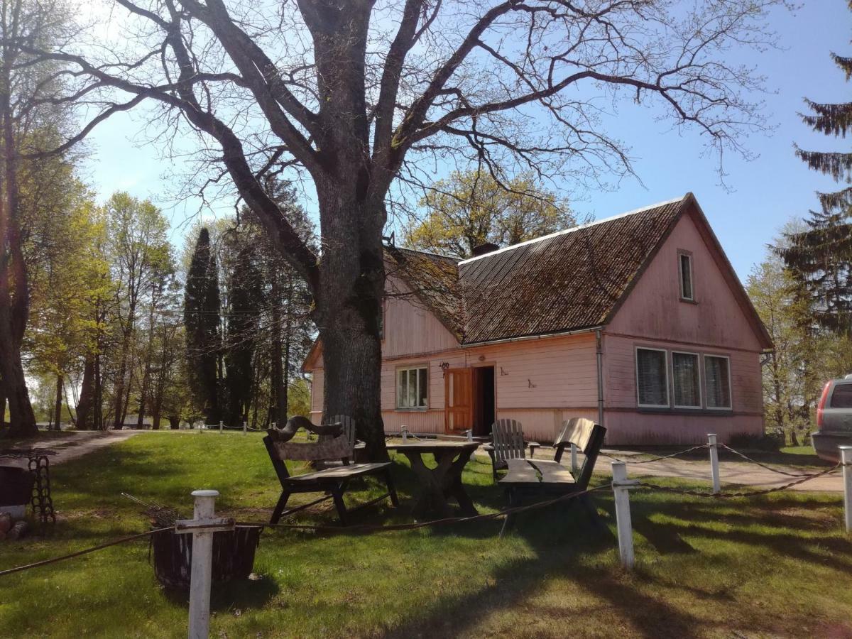 Lauku Viesu Maja Bajari Guest House Rucava ภายนอก รูปภาพ